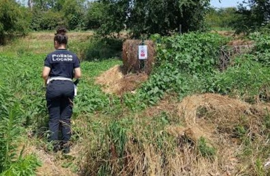 Ragazzi si tuffano nell’Olona, il sindaco ribadisce il divieto di balneazione