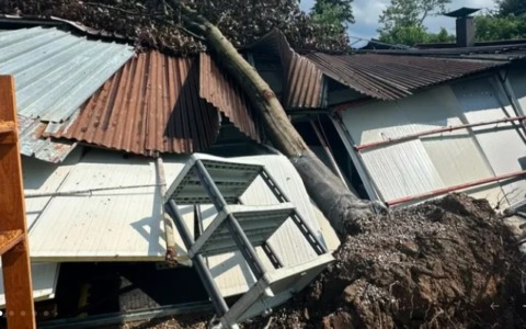 Albero cade e danneggia la cucina: via alla raccolta fondi per la riapertura