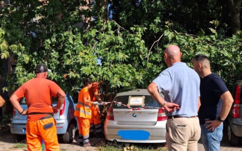Case Aler: iniziate le operazione di rimozione delle auto abbandonate