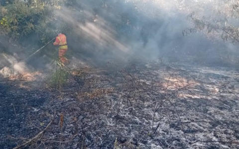 Domato un incendio in  località Gambarina