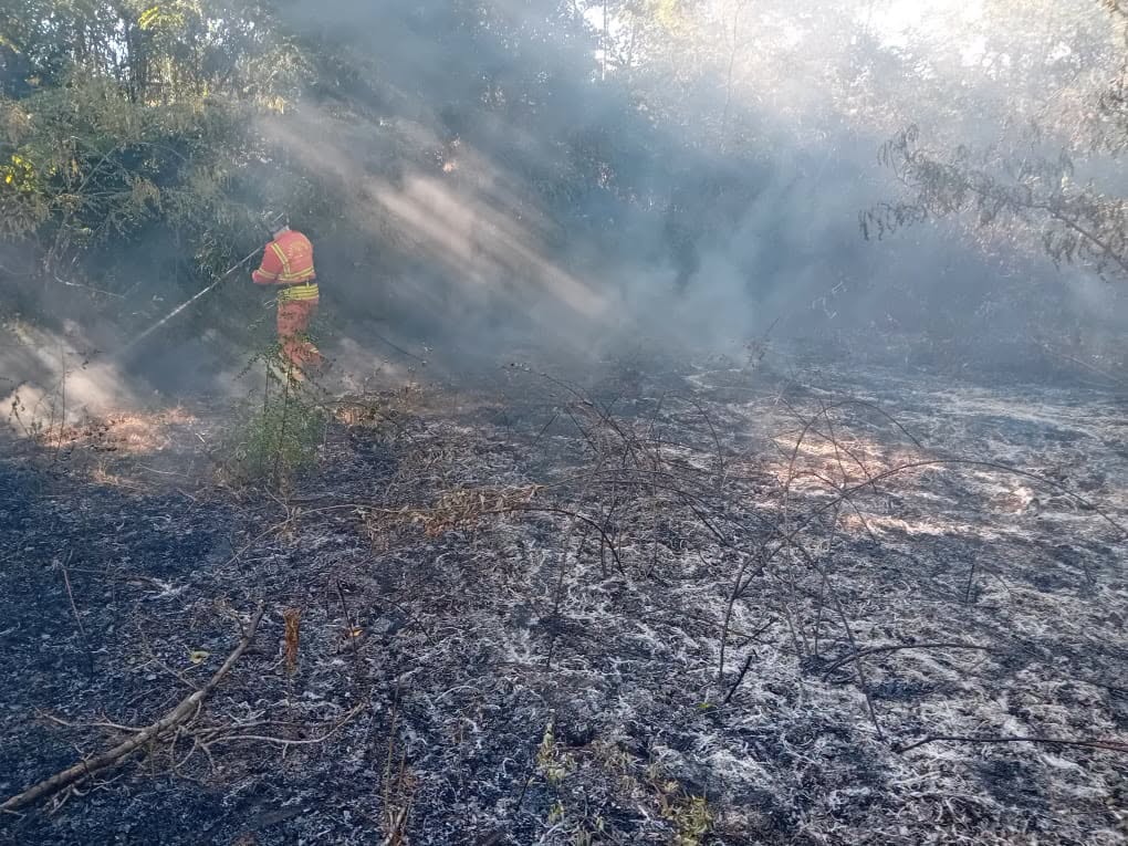 Domato un incendio in  località Gambarina