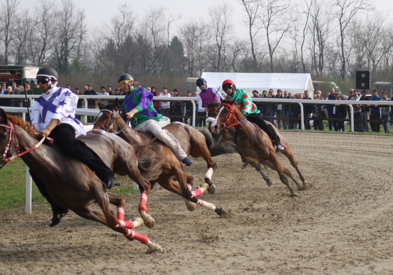 Rubata la staccionata del Palio: danno da oltre 40mila euro