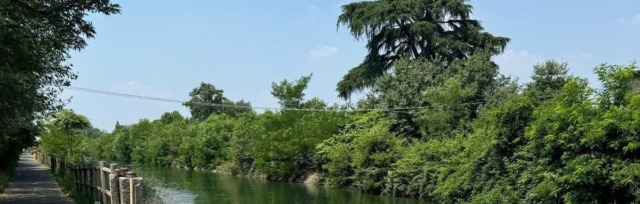 Tenta di salvare un animale e cade nel Villoresi
