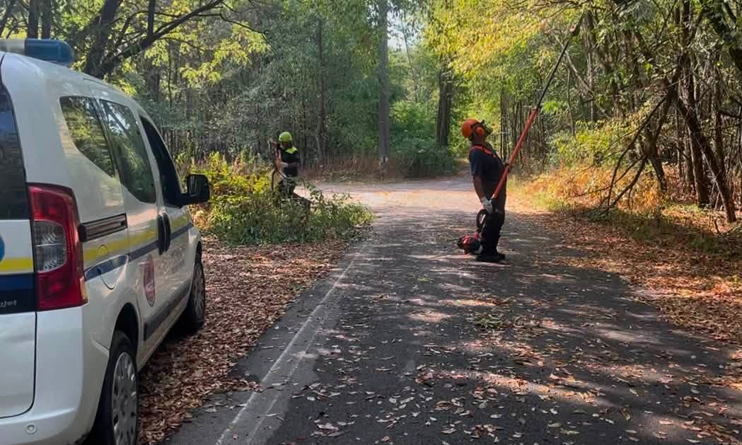 Maltempo e danni, Protezione Civile al lavoro