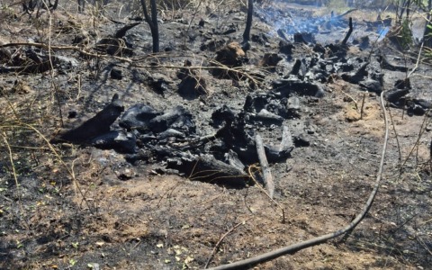 Incendio di sterpaglie e boscaglia: intervengono i Vigili del fuoco