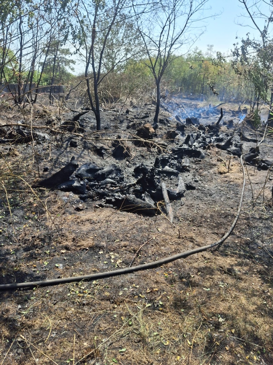 Incendio di sterpaglie e boscaglia: intervengono i Vigili del fuoco