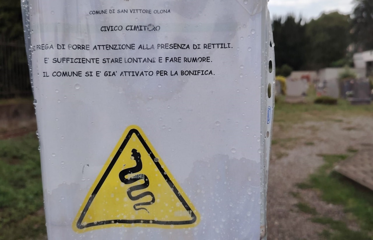 Serpenti al cimitero, arriva il cartello per fare attenzione