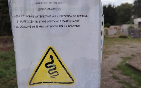 Serpenti al cimitero, arriva il cartello per fare attenzione