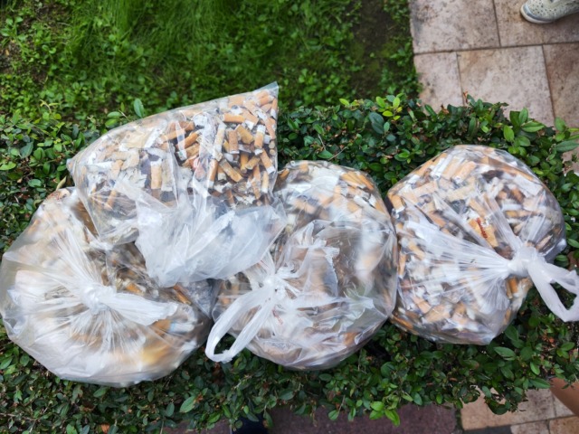 Puliamo il Mondo, raccolti 4.200 mozziconi al Parco Arcadia