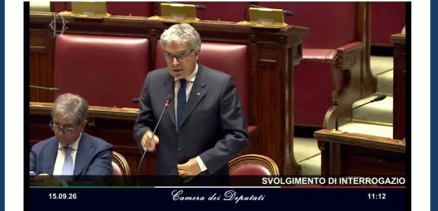 Le minacce al vicesindaco di Cornaredo in Parlamento