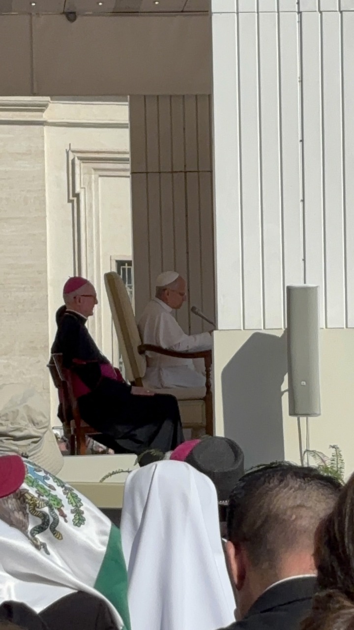 Il Palio di Legnano incontra il Papa