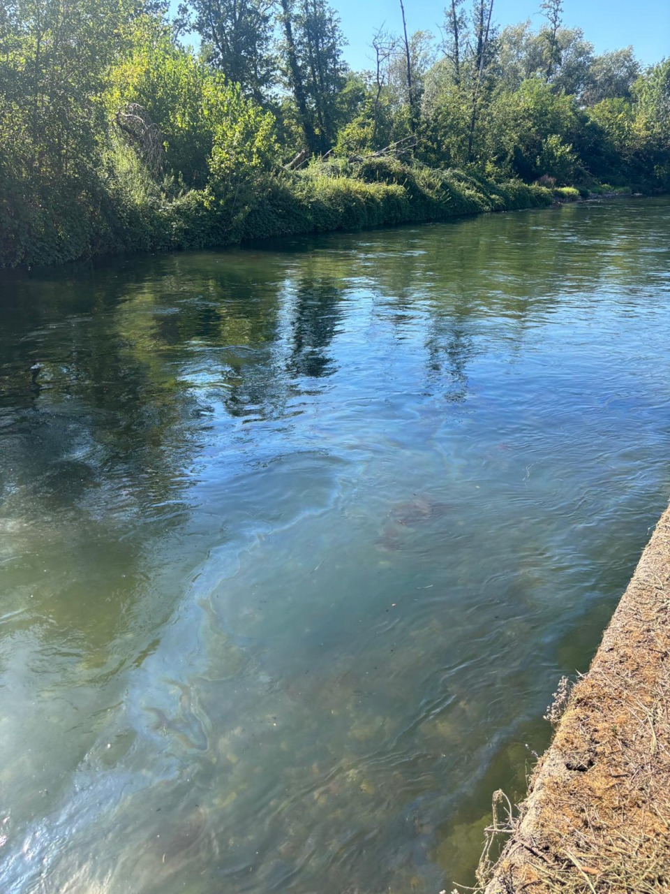 Liquido nero nella fognatura, allarme a Pontevecchio