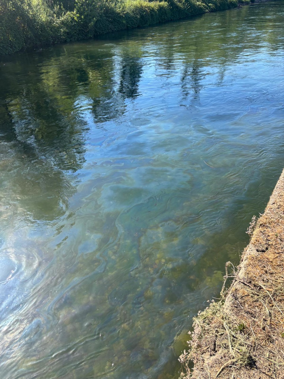 Liquido nero nella fognatura, allarme a Pontevecchio