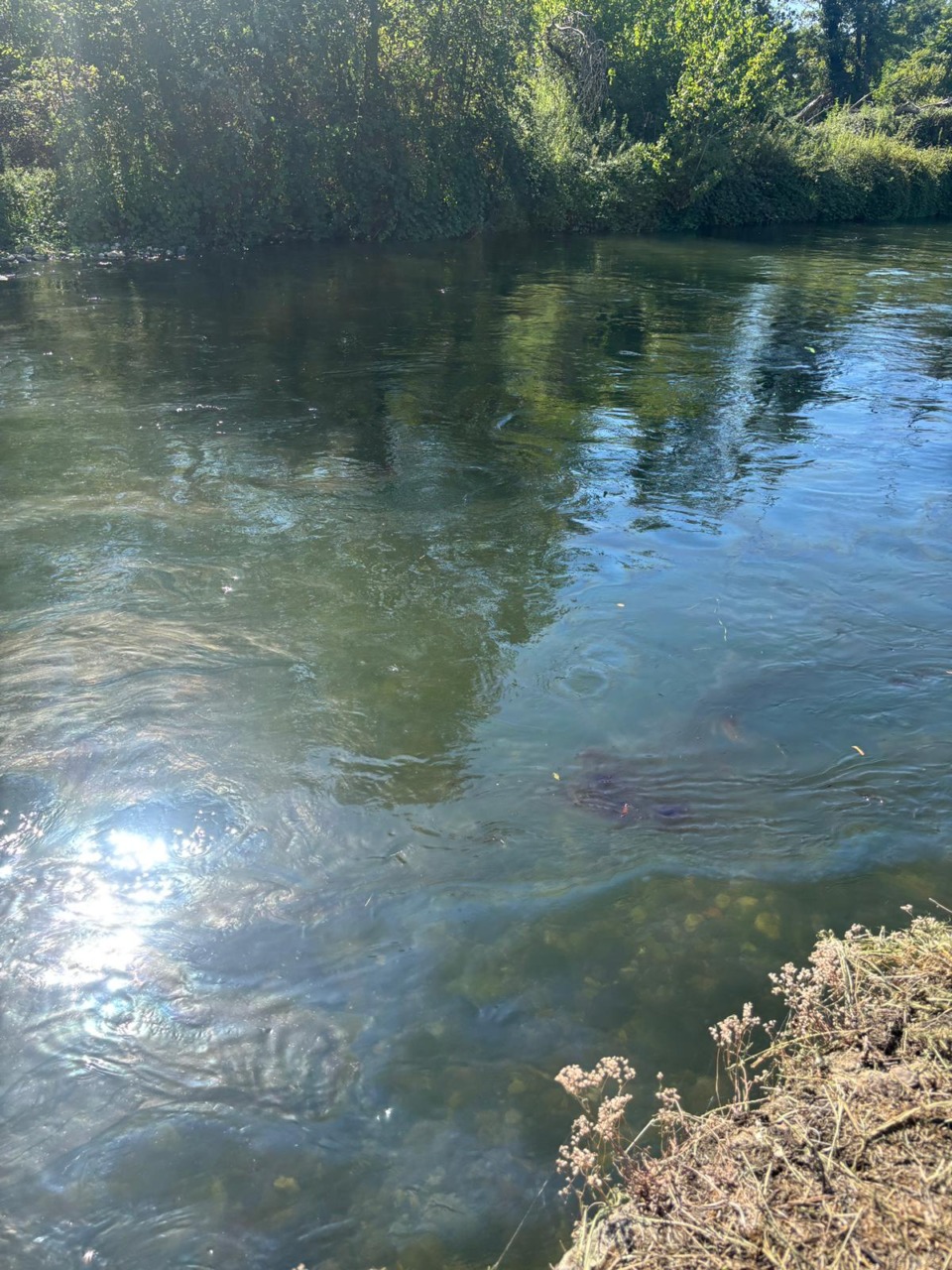 Liquido nero nella fognatura, allarme a Pontevecchio