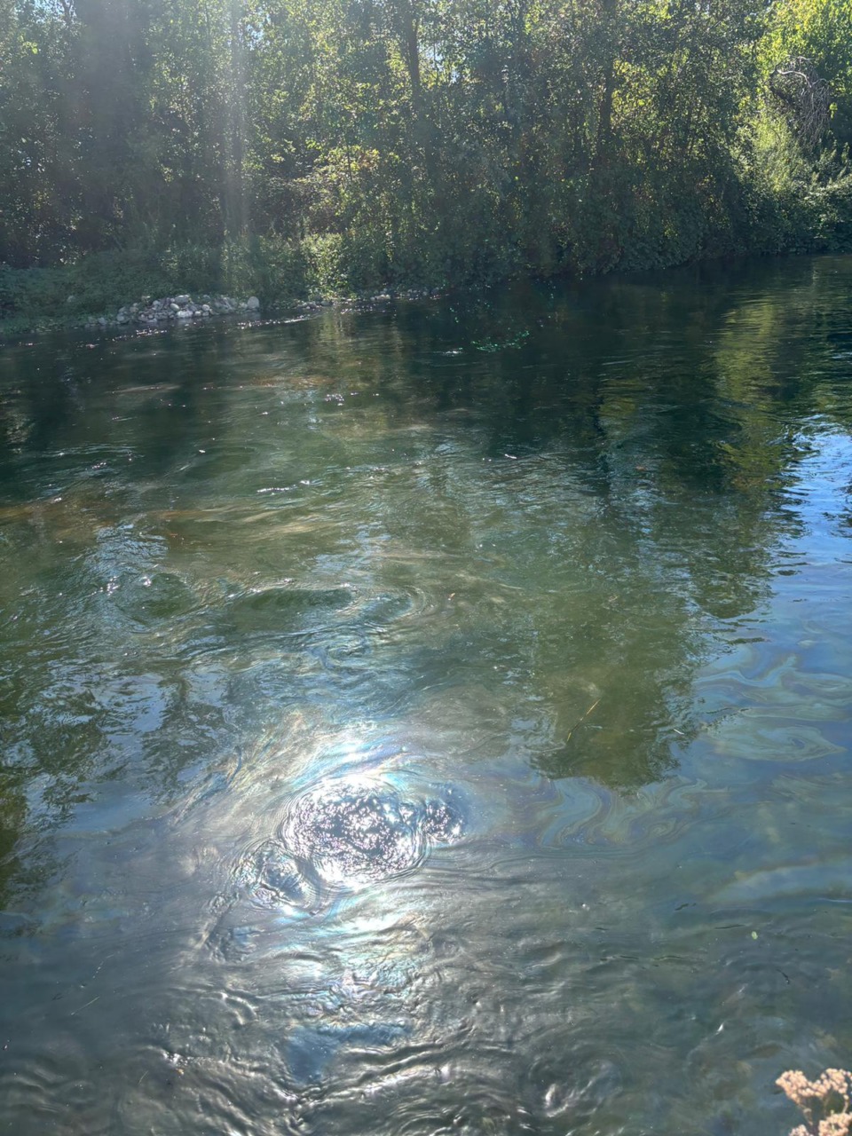 Liquido nero nella fognatura, allarme a Pontevecchio