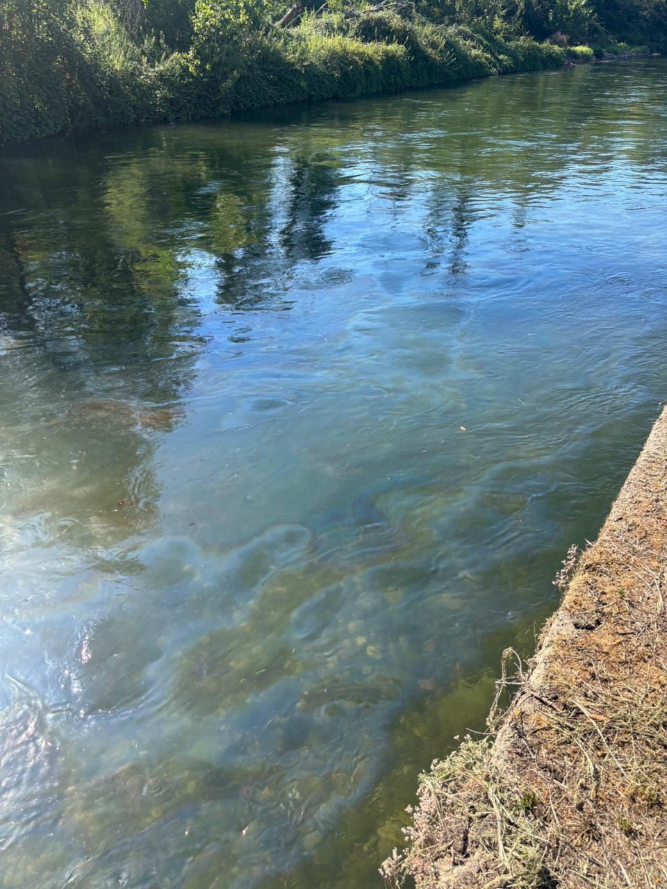 Liquido nero nella fognatura, allarme a Pontevecchio