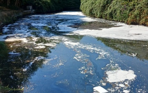 Sversamento nel Naviglio, la Regione pronta a costituirsi parte civile