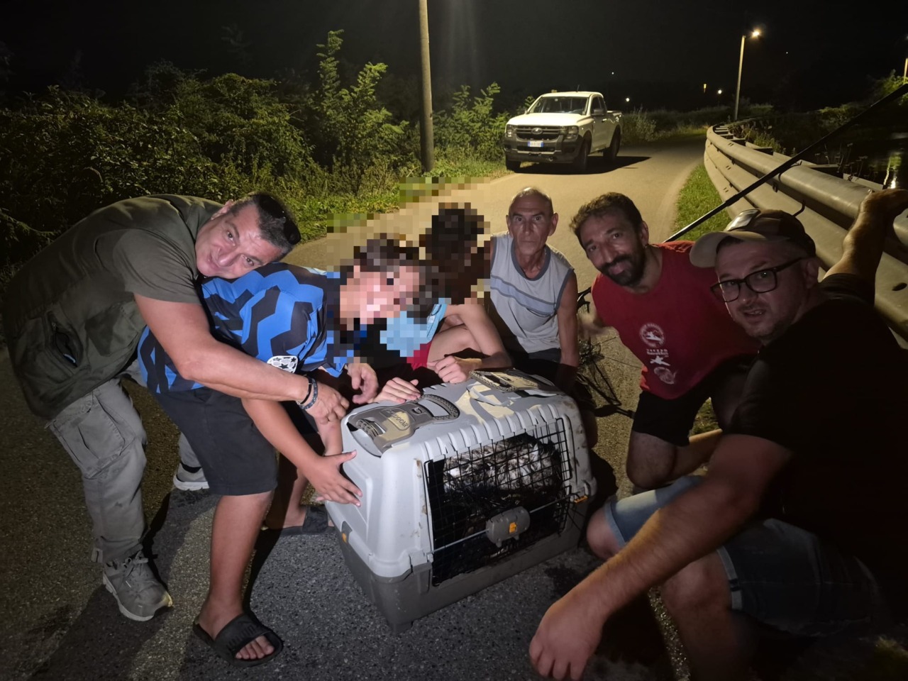 Sversamento nel Naviglio Grande, salvato un cigno intriso di idrocarburi
