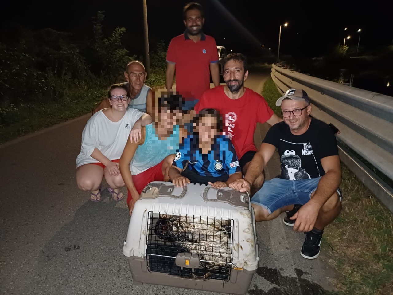 Sversamento nel Naviglio Grande, salvato un cigno intriso di idrocarburi