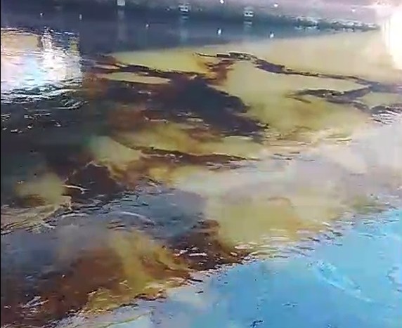 Gasolio nel Naviglio, in campo una task force per contenere i danni