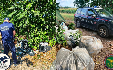 Scarico di rifiuti abusivo nel parco del Roccolo