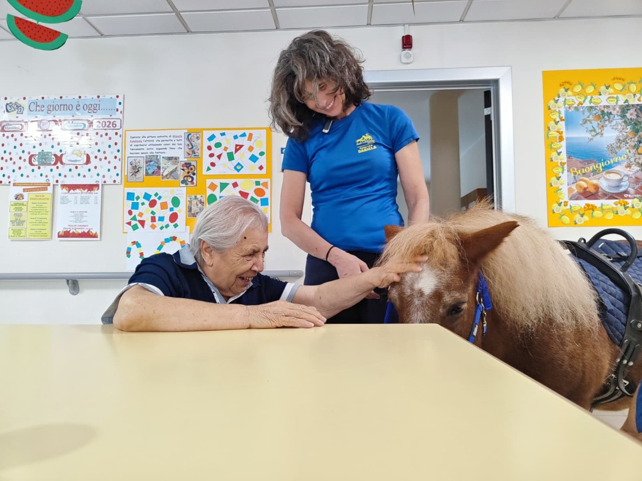 Il pony Trilly entra a Villa Arcadia e commuove gli anziani