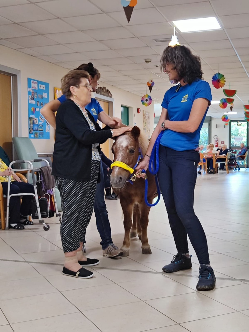 Il pony Trilly entra a Villa Arcadia e commuove gli anziani