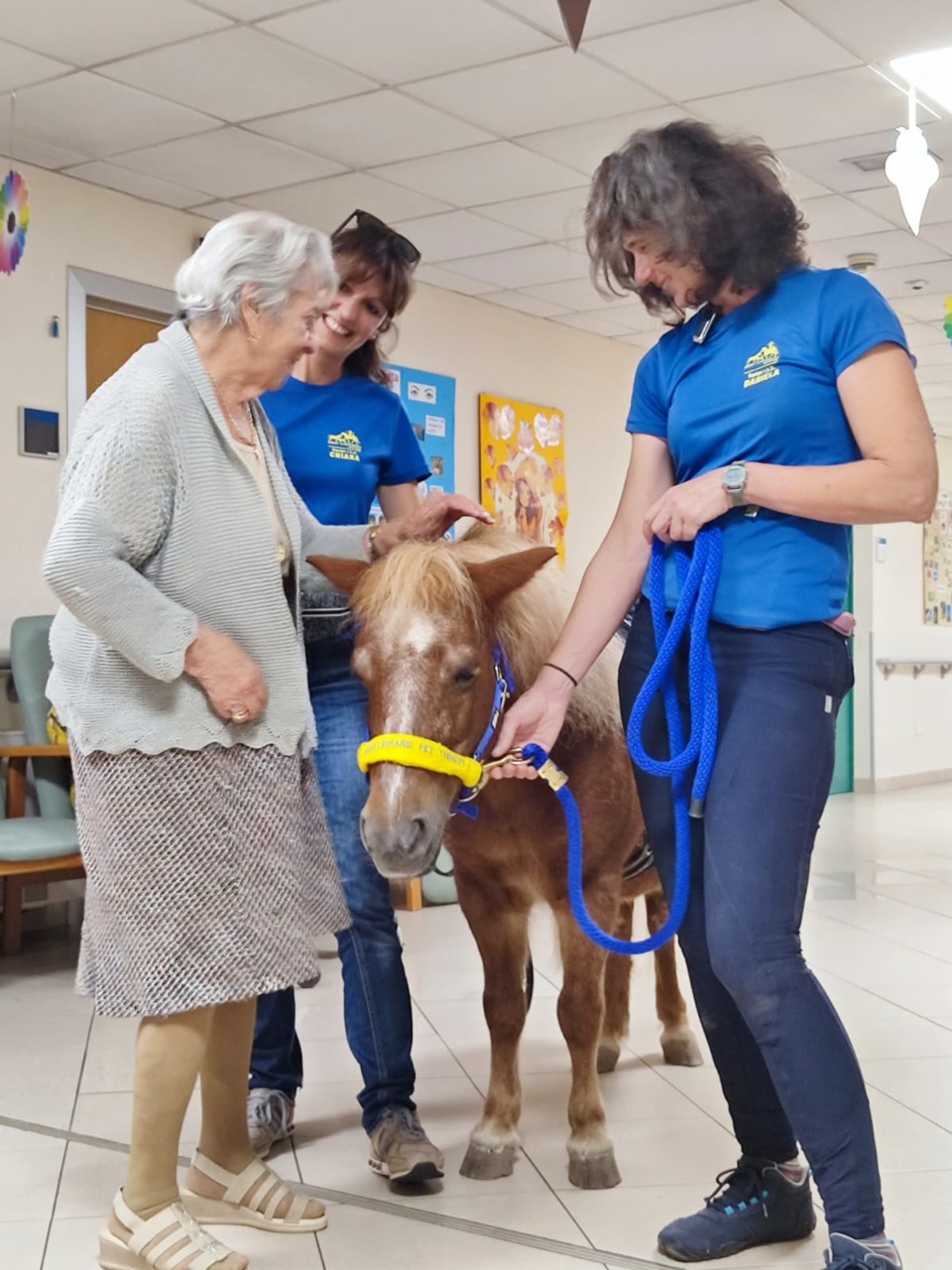 Il pony Trilly entra a Villa Arcadia e commuove gli anziani