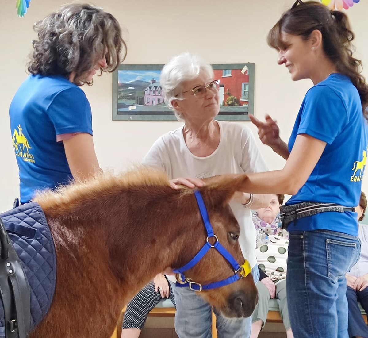 Il pony Trilly entra a Villa Arcadia e commuove gli anziani