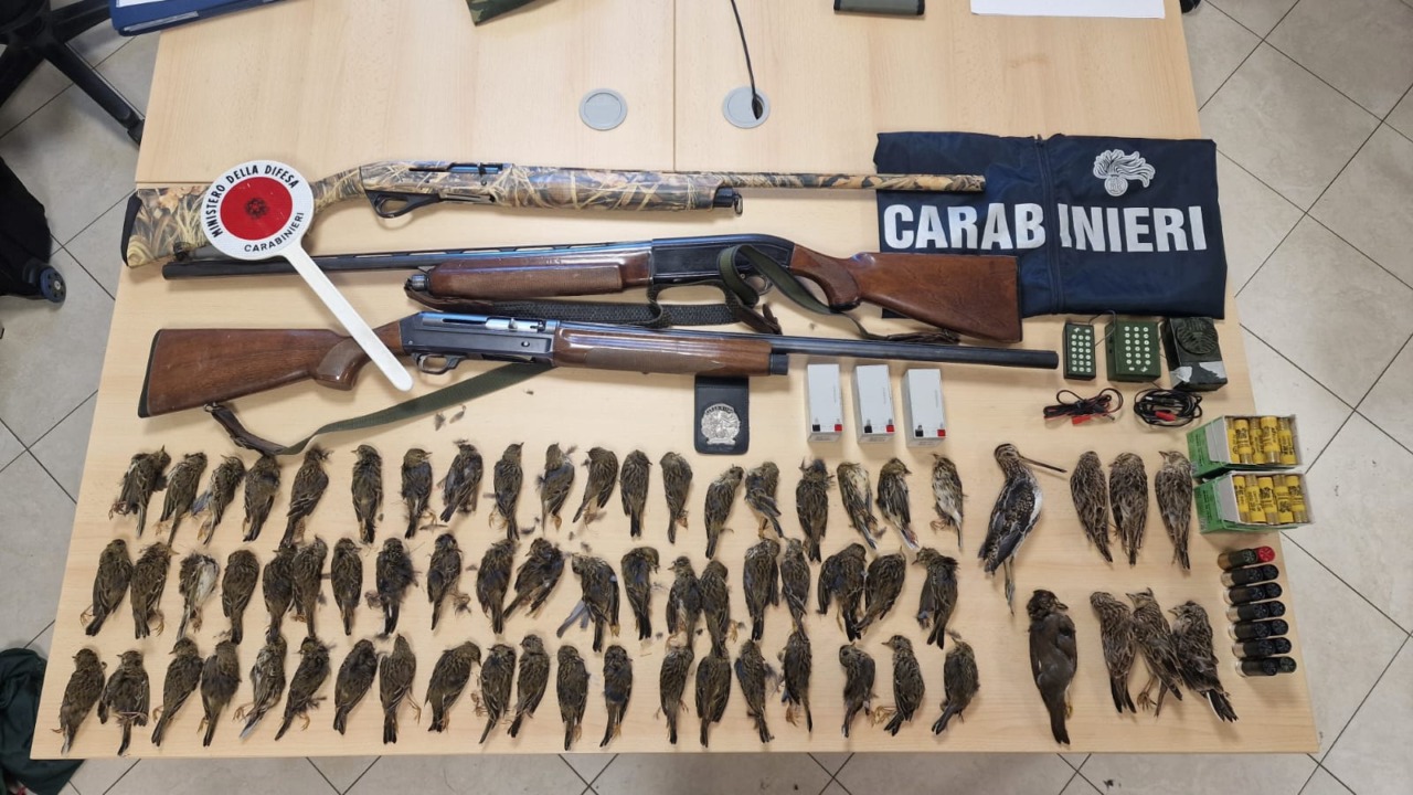 Caccia: controlli dei Carabinieri Forestali