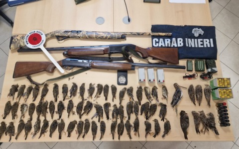 Caccia: controlli dei Carabinieri Forestali